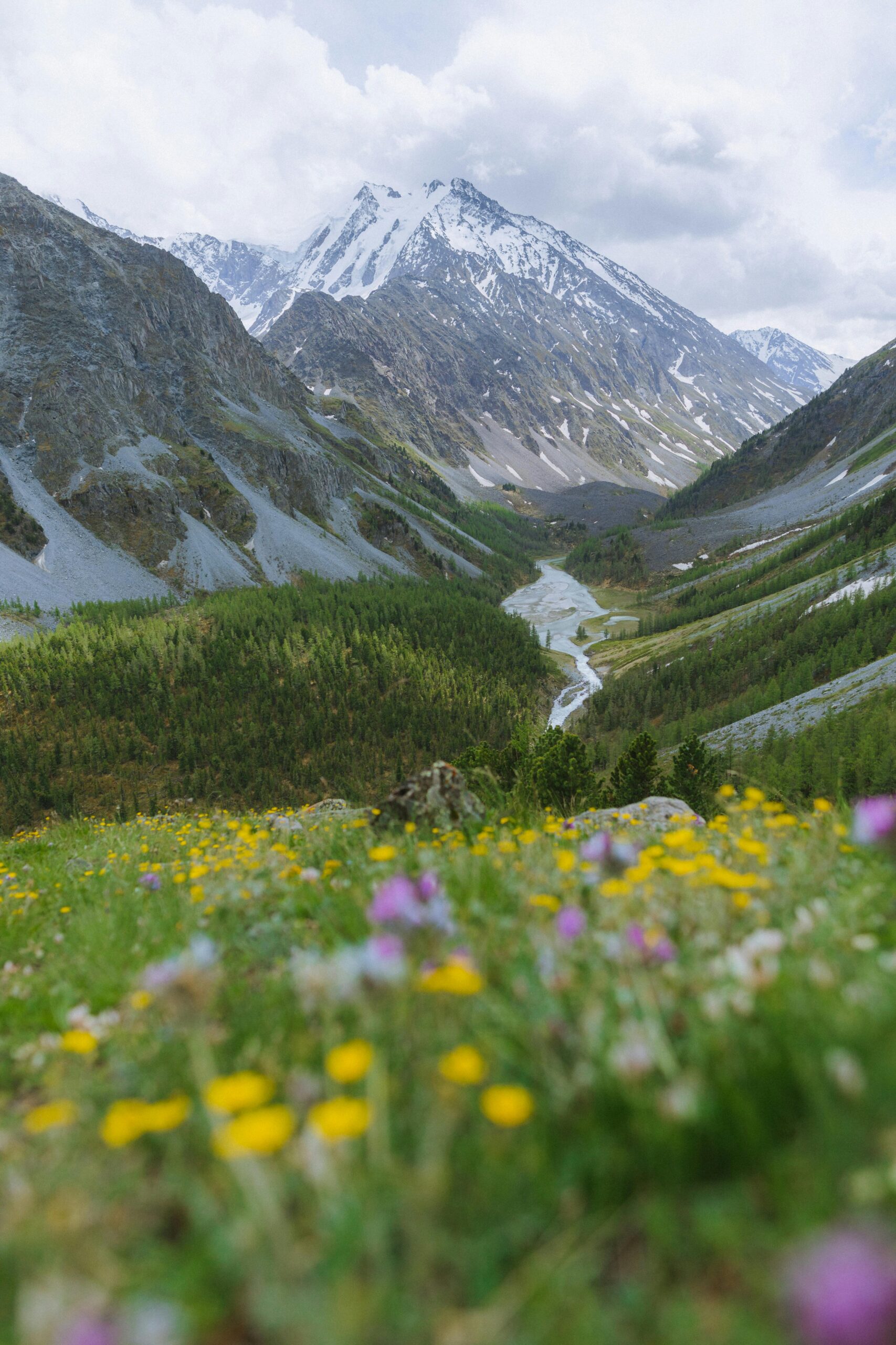 Valley of Flowers